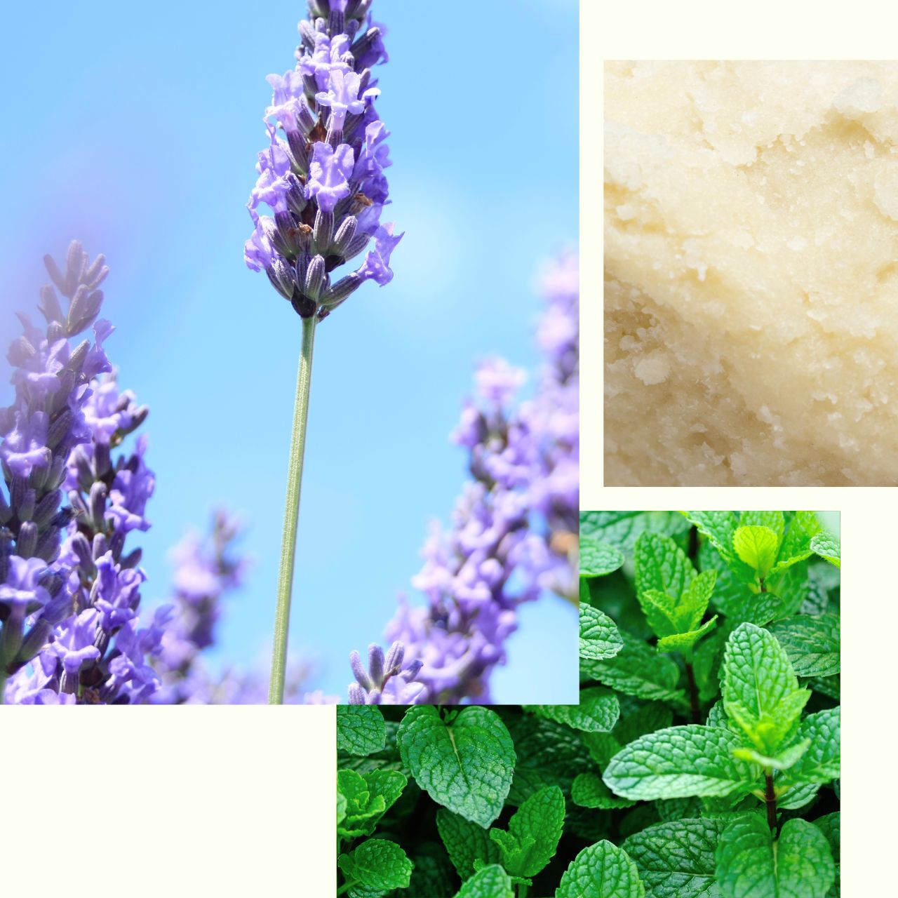 Lavender_Mint_Lip_Balm.jpg