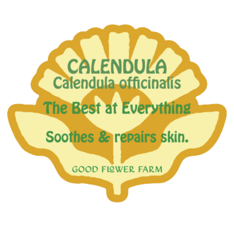 Calendula Herb Ally Sticker
