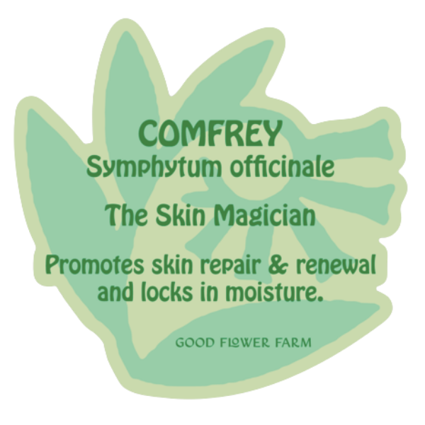 Comfrey Herb Ally Sticker