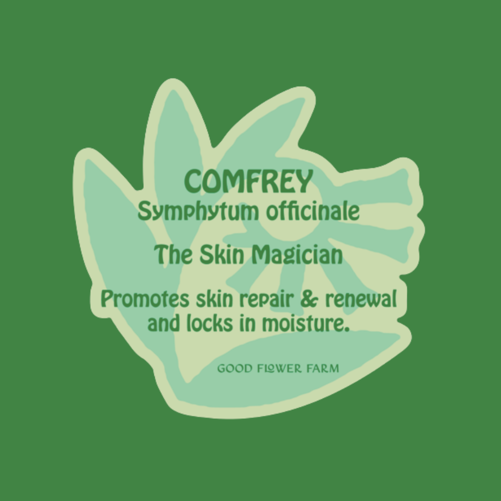 Illustration of comfrey leaves with text: Comfrey Herb Ally Sticker—Symphytum officinale. Promotes skin repair, renewal, and moisture. Good Flower Farm branding on a green background.