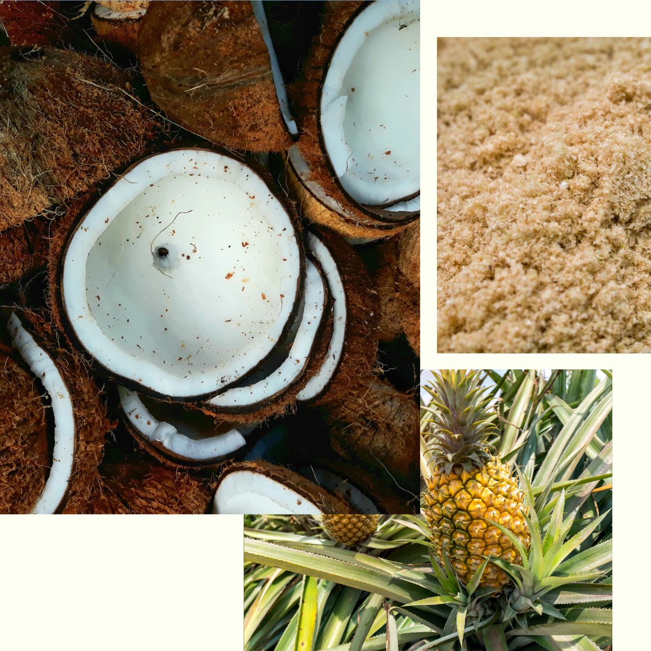 Herbal_Enzyme_Powder_Cleanser.jpg