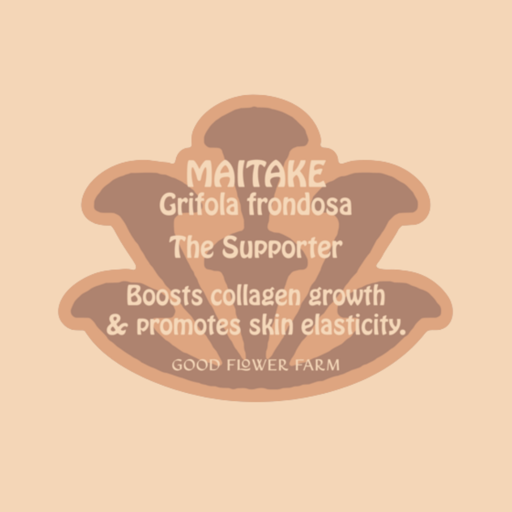 Mushroom Herb Ally Sticker featuring a stylized brown Maitake Mushroom and text: MAITAKE—boosts collagen growth & skin elasticity. By Good Flower Farm.