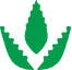 Good Flower Farm farm grown icon