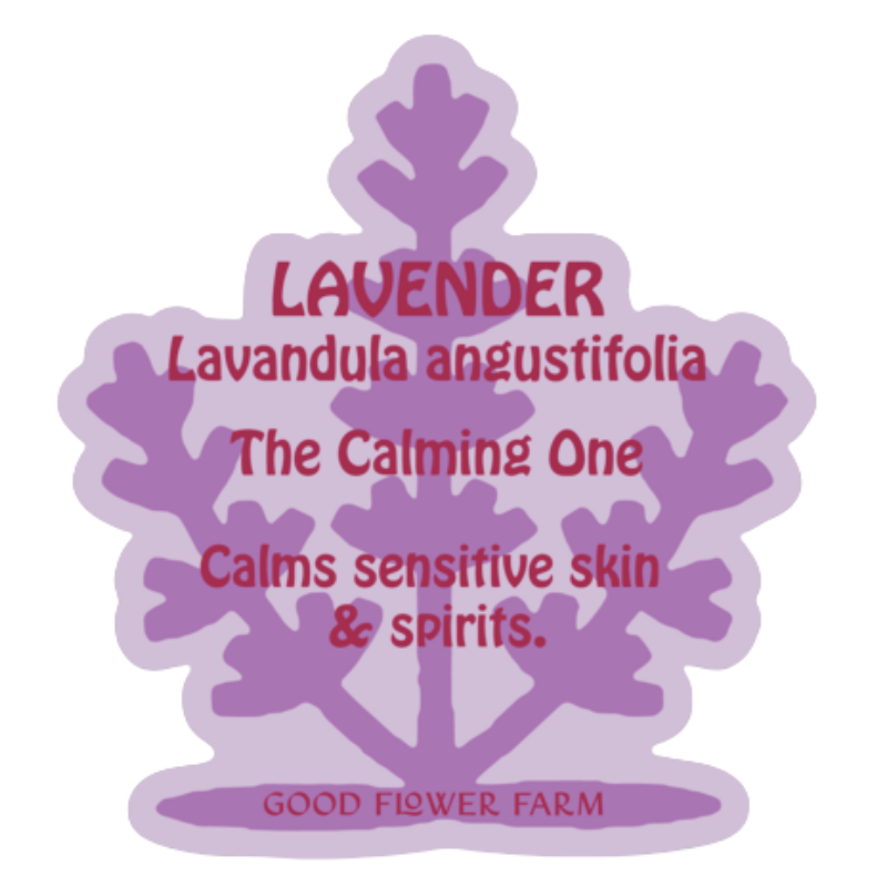 Lavender Herb Ally Sticker