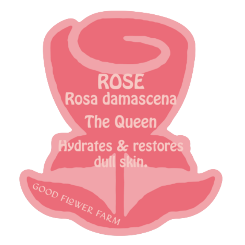Rose Herb Ally Sticker